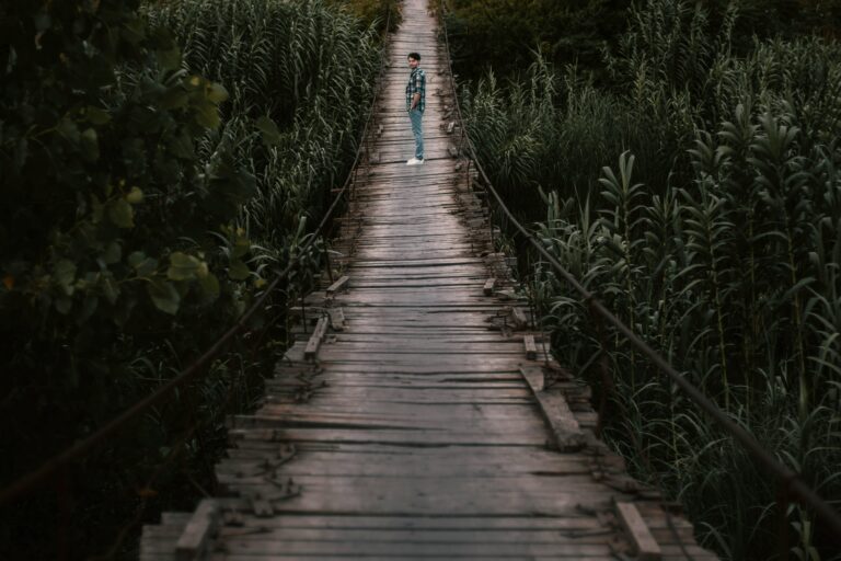 A person standing alone on a narrow, weathered bridge surrounded by tall green reeds.