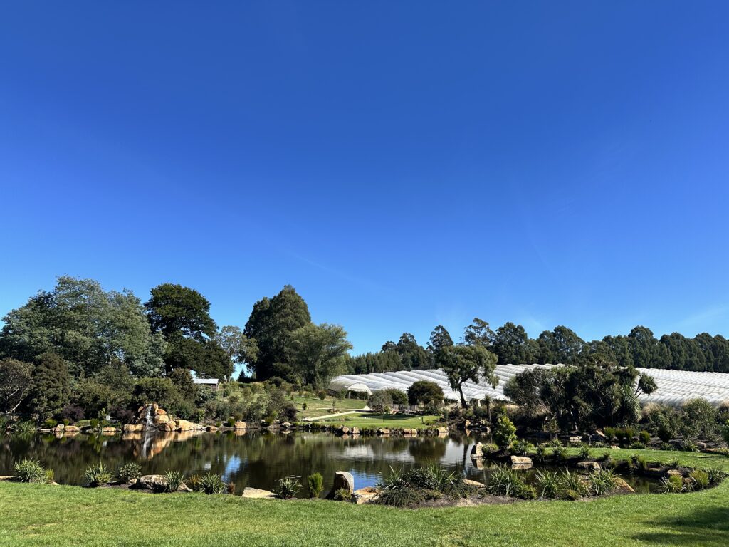A landscaped garden with a pond, surrounded by trees and greenhouses under a clear blue sky